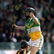 9 June 2002; Offaly's Brendan Murphy celebrates his goal during the Guinness Leinster Senior Hurling Championship Semi-Final match between Kilkenny and Offaly at Semple Stadium in Thurles, Tipperary. Photo by Aoife Rice/Sportsfile