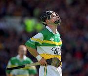 9 June 2002; Stephen Brown of Offaly during the Guinness Leinster Senior Hurling Championship Semi-Final match between Kilkenny and Offaly at Semple Stadium in Thurles, Tipperary. Photo by Aoife Rice/Sportsfile