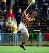9 June 2002; Richard Mullally of Kilkenny during the Guinness Leinster Senior Hurling Championship Semi-Final match between Kilkenny and Offaly at Semple Stadium in Thurles, Tipperary. Photo by Ray McManus/Sportsfile
