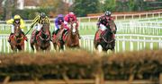 26 December 2011; His Excellency, second from right, with Davy Russell up, approach the last fence alongside One Cool Shabra, right, who finished 2nd, with John Cullen up, and Burrenbridge Lodge, 2nd from left, who finished 3rd, with Tom Doyle up, during the United  Arab Emirates Embassy Juvenile Hurdle. Leopardstown Christmas Racing Festival 2011, Leopardstown Racecourse, Leopardstown, Dublin. Picture credit: Ray McManus / SPORTSFILE