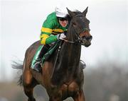 27 December 2011; The Way We Were, with Tony McCoy up, on their way to winning the paddypower.com Android App Maiden Hurdle. Leopardstown Christmas Racing Festival 2011, Leopardstown Racecourse, Leopardstown, Dublin. Picture credit: Barry Cregg / SPORTSFILE