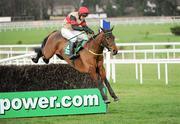 27 December 2011; Cross Appeal, with Paul Carberry up, jumps the last on their way to winning the Paddy Power Steeplechase. Leopardstown Christmas Racing Festival 2011, Leopardstown Racecourse, Leopardstown, Dublin. Picture credit: Matt Browne / SPORTSFILE