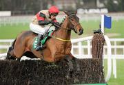 27 December 2011; Cross Appeal, with Paul Carberry up, jumps the last on their way to winning the Paddy Power Steeplechase. Leopardstown Christmas Racing Festival 2011, Leopardstown Racecourse, Leopardstown, Dublin. Picture credit: Matt Browne / SPORTSFILE