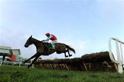 28 December 2011; Voler La Vedette, with Andrey Lynch up, jumps the last on their way to winning the woodiesdiy.com Christmas Hurdle. Leopardstown Christmas Racing Festival 2011, Leopardstown Racecourse, Leopardstown, Dublin. Picture credit: Matt Browne / SPORTSFILE