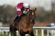 28 December 2011; Last Instalment, with Brian O'Connell up, come to the finishing line on their way to winning the Topaz Fort Leney Novice Steeplechase. Leopardstown Christmas Racing Festival 2011, Leopardstown Racecourse, Leopardstown, Dublin. Picture credit: Barry Cregg / SPORTSFILE