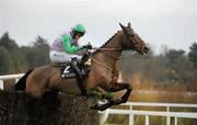29 December 2011; Hidden Cyclone, with Andrew McNamara up, jump the last on their way to winning the Ballymaloe Country Relish Beginners Steeplechase. Leopardstown Christmas Racing Festival 2011, Leopardstown Racecourse, Leopardstown, Dublin. Picture credit: Barry Cregg / SPORTSFILE