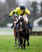 29 December 2011; Star Neuville, with Brian Hayes up, on their way to winning the Ryans Event Cleaners Maiden Hurdle. Leopardstown Christmas Racing Festival 2011, Leopardstown Racecourse, Leopardstown, Dublin. Picture credit: Brian Lawless / SPORTSFILE