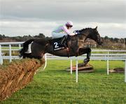 26 December 2011; Marasonnien, with Paul Towend up, jumps the last 'first time round' during the Racingpost.com Maiden Hurdle. Leopardstown Christmas Racing Festival 2011, Leopardstown Racecourse, Leopardstown, Dublin. Picture credit: Ray McManus / SPORTSFILE