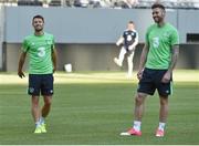 31 May 2017; Republic of Ireland players Wesley Hoolahan and Daryl Murphy during squad training at the MetLife Stadium, New Jersey, USA. Photo by David Maher/Sportsfile