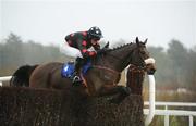 29 December 2011; Imperial Shabra, with Gerard Fox up, jumps the last during the Martinstown Opportunity Handicap Steeplechase. Leopardstown Christmas Racing Festival 2011, Leopardstown Racecourse, Leopardstown, Dublin. Picture credit: Barry Cregg / SPORTSFILE