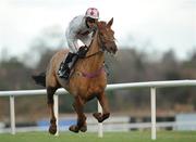 26 December 2011; Carrolls Cross, with Mick Darcy up, make their way past the grandstand first time round during the Download Free Racing Post Mobile App. Handicap Hurdle. Leopardstown Christmas Racing Festival 2011, Leopardstown Racecourse, Leopardstown, Dublin. Picture credit: Barry Cregg / SPORTSFILE