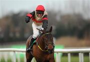 27 December 2011; Cross Appeal, with Paul Carberry up, on their way to winning the Paddy Power Steeplechase. Leopardstown Christmas Racing Festival 2011, Leopardstown Racecourse, Leopardstown, Dublin. Picture credit: Barry Cregg / SPORTSFILE