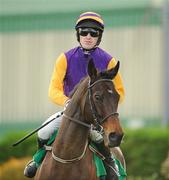 27 December 2011; Jockey Tony McCoy and Noble Prince make their way to the start for the Paddy Power Dial-a-Bet Steeplechase. Leopardstown Christmas Racing Festival 2011, Leopardstown Racecourse, Leopardstown, Dublin. Picture credit: Barry Cregg / SPORTSFILE