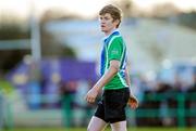 19 January 2012; Jack Cleary, Gorey C.S. McMullan Cup Final, Gorey C.S. v St. Conleths, Greystones RFC, Dr. Hickey Park, Greystones, Co. Wicklow. Picture credit: Matt Browne / SPORTSFILE
