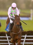 22 January 2012; Vesper Bell, with Ruby Walsh up, clears the last on the way to winning the €45 Bobbyjo Restaurant Package Maiden Hurdle. Fairyhouse Racecourse, Co. Meath. Photo by Sportsfile