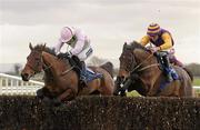 22 January 2012; Blazing Tempo, left, with Ruby Walsh up, jumps the last on the way to winning the Normans Grove Steeplechase ahead of eventual second place Noble Prince, with Davy Russell up. Fairyhouse Racecourse, Co. Meath. Photo by Sportsfile