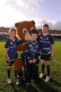 21 January 2012; Leinster mascot Leo The Lion with matchday mascots, from left, Matthew O'Brien, Harry Whelan and Mark O'Brien before the game. Heineken Cup, Pool 3, Round 6, Leinster v Montpellier, RDS, Ballsbridge, Dublin. Picture credit: Stephen McCarthy / SPORTSFILE