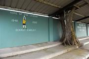 22 January 2012; A painting on the wall of the main stand in memory of the late Dermot Earley. FBD Insurance League, Section B, Round 3, Roscommon v Mayo, Ballinlough GAA Grounds, Ballinlough, Co. Roscommon. Picture credit: Pat Murphy / SPORTSFILE