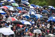 11 June 2017; A general view of the crowd on the terrace during the Ulster GAA Football Senior Championship Quarter-Final match between Cavan and Monaghan at Kingspan Breffni in Cavan. Photo by Oliver McVeigh/Sportsfile