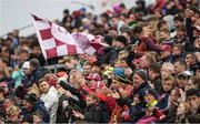 11 June 2017; Galway supporters on the terrace celebrate a score during the Connacht GAA Football Senior Championship Semi-Final match between Galway and Mayo at Pearse Stadium, in Salthill, Galway. Photo by Ray McManus/Sportsfile