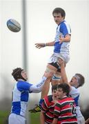 25 January 2012; Killian McCarthy, St. Andrew’s School, goes up for a lineout. Powerade Leinster Schools Vinnie Murray Cup, Semi-Final, Wesley College v St. Andrew’s School, Seapoint RFC, Killiney, Co. Dublin. Picture credit: Brian Lawless / SPORTSFILE