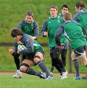 26 January 2012; Ireland's Donncha O'Callaghan is tackled by Ronan O'Gara during squad training ahead of their RBS Six Nations Rugby Championship game against Wales on February 5th. Ireland Rugby Squad Training, University of Limerick, Limerick. Picture credit: Diarmuid Greene / SPORTSFILE