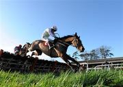 26 January 2012; Zaidpour, with Ruby Walsh up, jumps the last on their way to winning the John Mulhern Galmoy Hurdle from second place Voler La Vedette with Andrew Lynch. Gowran Park, Gowran, Co. Kilkenny. Picture credit: Matt Browne / SPORTSFILE