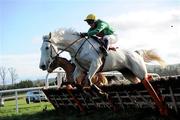 26 January 2012; Snow Spell, with Tom Treacy up, jumps the last on their way to winning the Four Star Langton House Hotel Maiden Hurdle. Gowran Park, Gowran, Co. Kilkenny. Picture credit: Matt Browne / SPORTSFILE