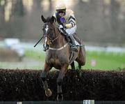 26 January 2012; On His Own, with David Casey up, jumps the last on their way to winning the Goffs Thyestes Handicap Steeplechase. Gowran Park, Gowran, Co. Kilkenny. Picture credit: Matt Browne / SPORTSFILE
