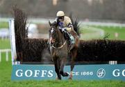26 January 2012; On His Own, with David Casey up, on their way to winning the Goffs Thyestes Handicap Steeplechase after jumping the last. Gowran Park, Gowran, Co. Kilkenny. Picture credit: Matt Browne / SPORTSFILE