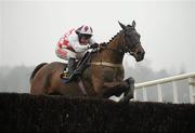 29 January 2012; Flemenstar, with Andrew Lynch up, jump the last on their way to winning the Frank Ward Solicitors Arkle Novice Steeplechase. Leopardstown Racecourse, Leopardstown, Co. Dublin. Picture credit: Barry Cregg / SPORTSFILE