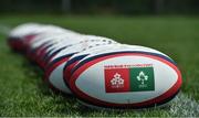 15 June 2017; A match ball with the Japan and Ireland rugby union logos during an Ireland rugby squad training session in Tokyo, Japan. Photo by Brendan Moran/Sportsfile