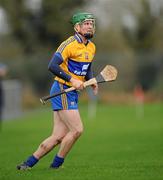 29 January 2012; Colin Ryan, Clare. Waterford Crystal Cup Hurling, Preliminary Round, Clare v Waterford Institute of Technology, O'Garney Park, Sixmilebridge, Co Clare. Picture credit: Ray McManus / SPORTSFILE