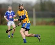 29 January 2012; Pat Donnellan, Clare. Waterford Crystal Cup Hurling, Preliminary Round, Clare v Waterford Institute of Technology, O'Garney Park, Sixmilebridge, Co Clare. Picture credit: Ray McManus / SPORTSFILE