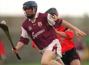 15 June 2002; Damien Hayes of Galway during the Guinness All-Ireland Senior Hurling Championship Qualifing Round 1 match between Galway and Down at Casement Park in Belfast. Photo by Damien Eagers/Sportsfile