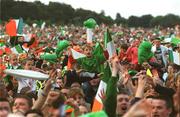 18 June 2002; Supporters cheer during the Republic of Ireland homecoming in Phoenix Park, Dublin, following the 2002 FIFA World Cup Finals in South Korea and Japan. Photo by Pat Murphy/Sportsfile