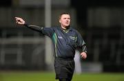 4 February 2012; Referee Rory Hickey. Allianz Football League, Division 1, Round 1, Laois v Mayo, O'Moore Park, Portlaoise, Co. Laois. Picture credit: Matt Browne / SPORTSFILE