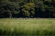 17 June 2017 A general view of runners during Irish Runner 5 Mile at the Phoenix Park in Dublin. Photo by Sam Barnes/Sportsfile
