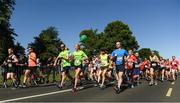 17 June 2017 Catherina McKiernan, centre, No.79, acting as a pacer during Irish Runner 5 Mile at the Phoenix Park in Dublin. Photo by Sam Barnes/Sportsfile