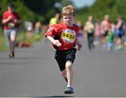 17 June 2017; Runners competing in the fun run during the Irish Runner 5 Mile at the Phoenix Park in Dublin. Photo by Sam Barnes/Sportsfile
