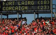 18 June 2017; Cork supporters watch the last minute of the Munster GAA Hurling Senior Championship Semi-Final match between Waterford and Cork at Semple Stadium in Thurles, Co Tipperary.  Photo by Ray McManus/Sportsfile