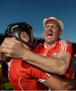 18 June 2017; A Cork supporter celebrates with Christopher Joyce of Cork after the Munster GAA Hurling Senior Championship Semi-Final match between Waterford and Cork at Semple Stadium in Thurles, Co Tipperary.  Photo by Piaras Ó Mídheach/Sportsfile
