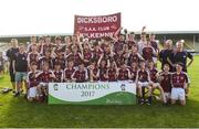 18 June 2017; The Dicksboro, Co. Kilkenny players after the John West Féile na nGael national competition which took place this weekend across Carlow, Kilkenny and Waterford. This is the second year that the Féile na nGael and Féile Peile na nÓg have been sponsored by John West, one of the world’s leading suppliers of fish. The competition gives up-and-coming GAA superstars the chance to participate and play in their respective Féile tournament, at a level which suits their age, skills and strengths. Photo by Matt Browne/Sportsfile