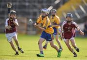 18 June 2017; Michael Carey of Sixmilebridge, Co. Clare in action against Dicksboro, Co. Kilkenny, during the John West Féile na nGael national competition which took place this weekend across Carlow, Kilkenny and Waterford. This is the second year that the Féile na nGael and Féile Peile na nÓg have been sponsored by John West, one of the world’s leading suppliers of fish. The competition gives up-and-coming GAA superstars the chance to participate and play in their respective Féile tournament, at a level which suits their age, skills and strengths. Photo by Matt Browne/Sportsfile