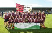 18 June 2017; The Dicksboro, Co. Kilkenny team that won the Division 2 Camogie Final between Dicksboro, Co. Kilkenny and Kilcormac-Killoughey, Co. Offaly at the John West Féile na nGael national competition which took place this weekend across Carlow, Kilkenny and Waterford. This is the second year that the Féile na nGael and Féile Peile na nÓg have been sponsored by John West, one of the world’s leading suppliers of fish. The competition gives up-and-coming GAA superstars the chance to participate and play in their respective Féile tournament, at a level which suits their age, skills and strengths. Photo by Matt Browne/Sportsfile
