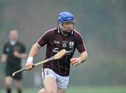 29 January 2012; Damien Hayes, Galway. Bord na Mona Walsh Cup, University College Dublin v Galway, Belfield, Co. Dublin. Picture credit: Dáire Brennan / SPORTSFILE