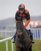 28 January 2012; Paddy Flood aboard Last Time D'albain goes to post for the Leopardstown Handicap Steeplechase. Leopardstown, Co. Dublin. Photo by Sportsfile