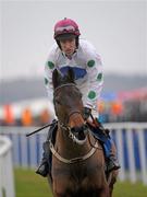 28 January 2012; Robbie Power aboard Arklow Ger goes to post for the Leopardstown Handicap Steeplechase. Leopardstown, Co. Dublin. Photo by Sportsfile
