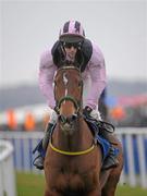 28 January 2012; James Barry aboard Gran Torino goes to post for the Leopardstown Handicap Steeplechase. Leopardstown, Co. Dublin. Photo by Sportsfile