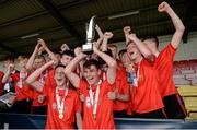 24 June 2017; Down captain Ronan Blair, right, lifts the trophy as he celebrates with his teammates following their side's victory during the Bank of Ireland Celtic Challenge Corn William Robinson Final match between Down and Dublin Plunkett at Netwatch Cullen Park in Carlow. Photo by Seb Daly/Sportsfile